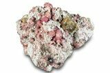 Raspberry Garnets (Rosolite) and Vesuvianite in Matrix - Mexico #281556-1